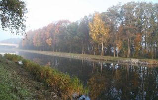 Unsere Angelstrecke im Morgennebel Unsere Angelstrecke im Morgennebel
